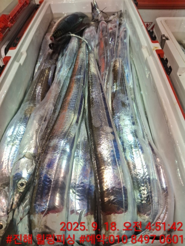 KakaoTalk_20250918_142033159_03.jpg