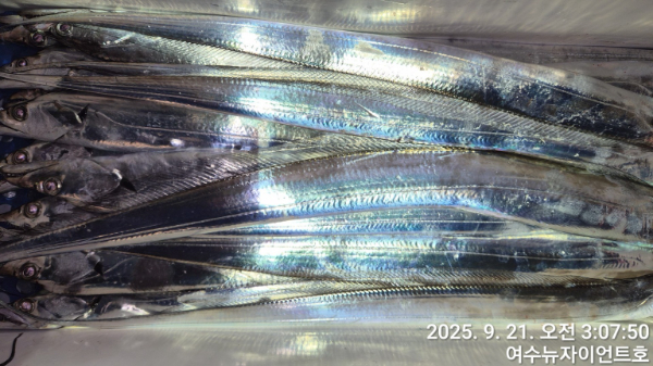 1758404953507-14.jpg