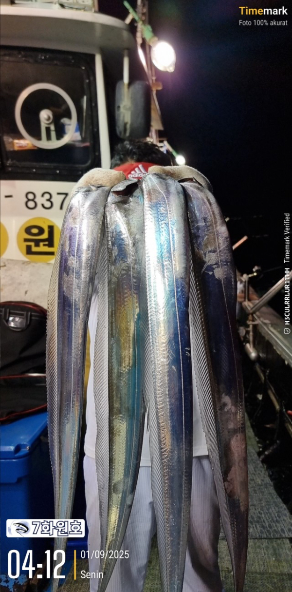 제주갈치낚시 화원호_사진_20250901_3.jpg