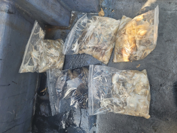 예지퀸호 농어외수질&어초낚시 경기인천권_사진_20250914_7.jpg