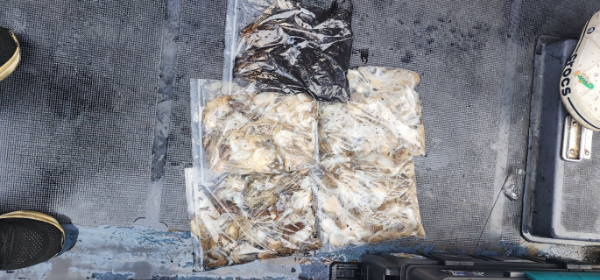 예지퀸호 농어외수질&어초낚시 경기인천권_사진_20250915_8.jpg