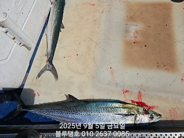 20250905_102043.jpg