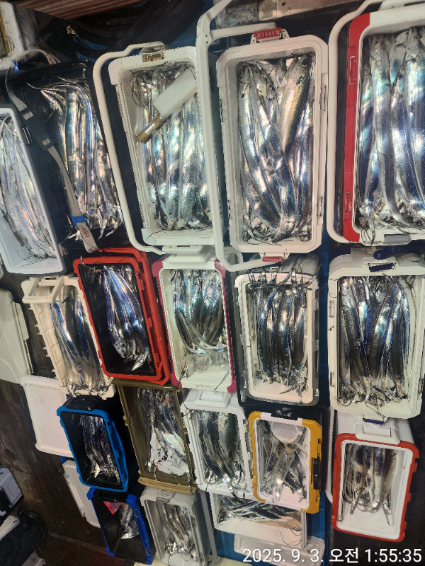 1000038115.jpg