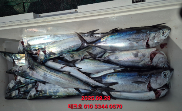 KakaoTalk_20250929_123745631.jpg