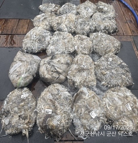 군산 선상낚시, 바다낚시 출조 전문 ☆서군산낚시☆_사진_20250917_1.jpg