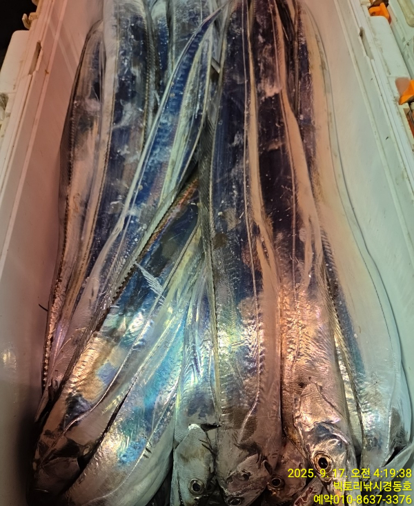 1758056906110.jpg