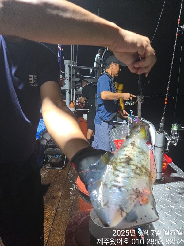 제주왔어호_사진_20250909_29.jpg