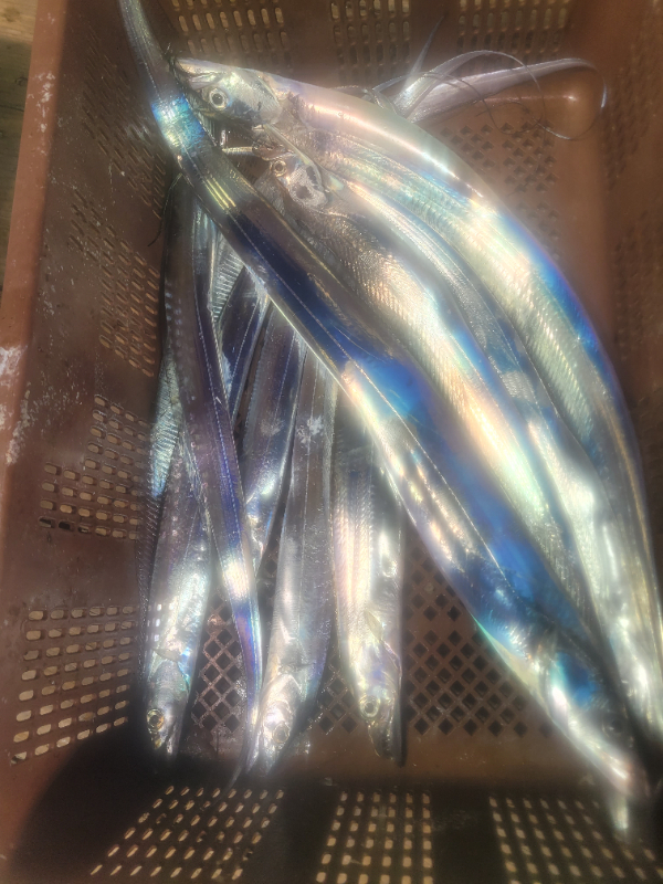 20250927_234810.jpg