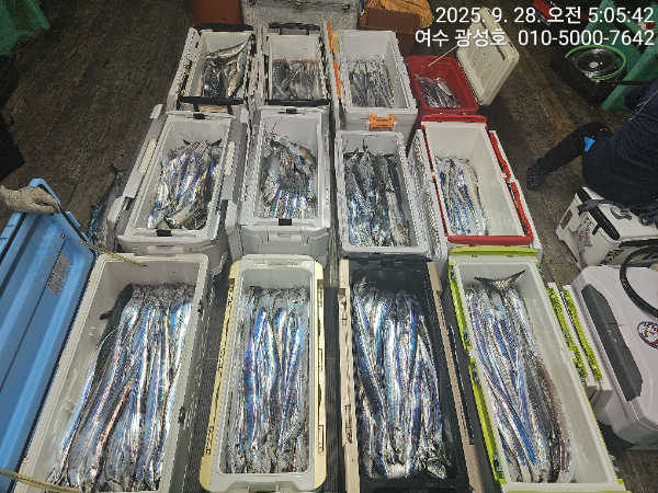 KakaoTalk_20250928_162921439_15.jpg