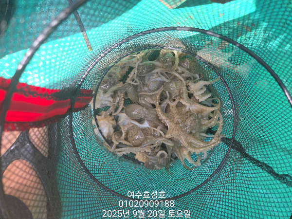 a897b7b05193d565ab4f385da1bab664.jpg