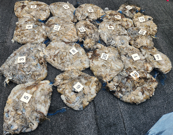 1000022648.jpg