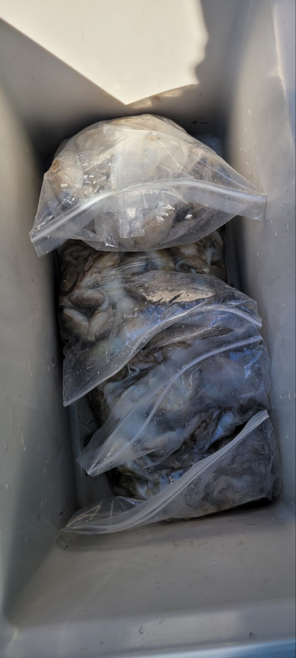 예지퀸호 농어외수질&어초낚시 경기인천권_사진_20250902_12.jpg