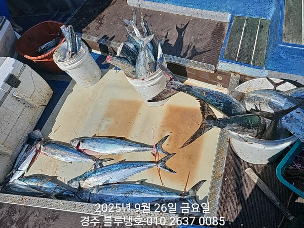 20250926_105122.jpg