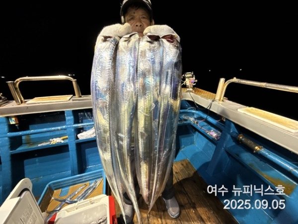 9월5일갈치 (11).jpg