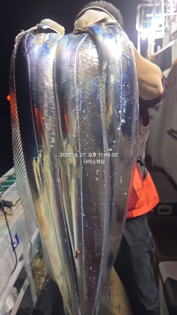 1758985201141.jpg