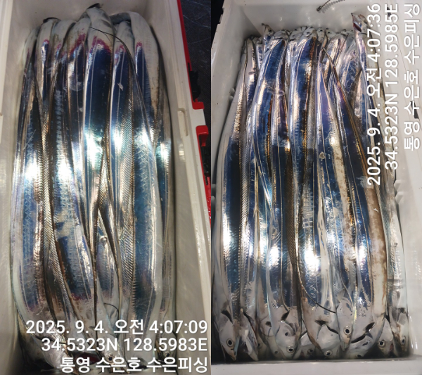 1756931935627-tile.jpg