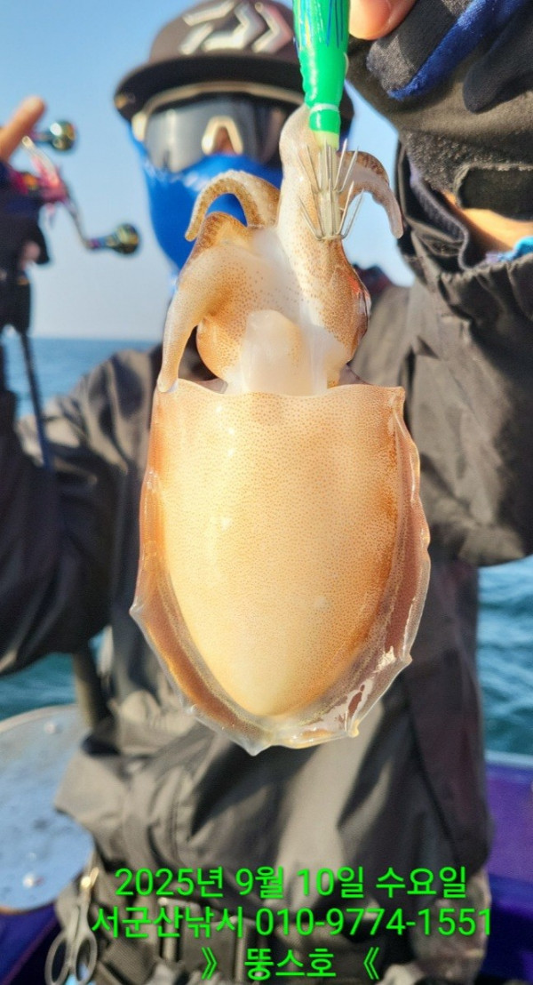 군산 선상낚시, 바다낚시 출조 전문 ☆서군산낚시☆_사진_20250910_11.jpg