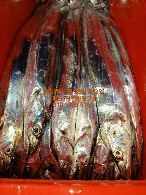 KakaoTalk_20250925_033543935_04.jpg