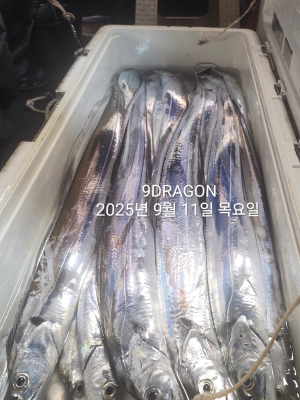 8D834AC2-2B1A-4785-9955-250560114A10.jpeg