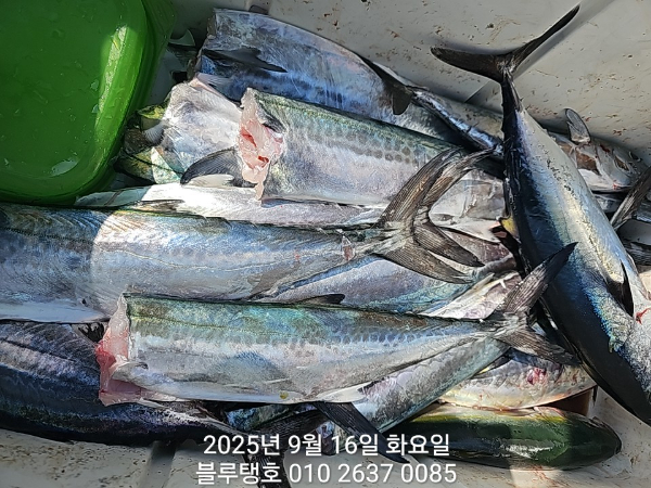 20250916_134815.jpg