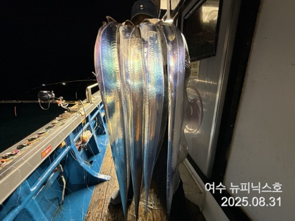 9월1일갈치 (23).jpg