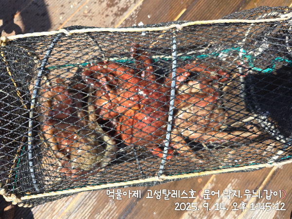 IMG_20250914_134512.jpg