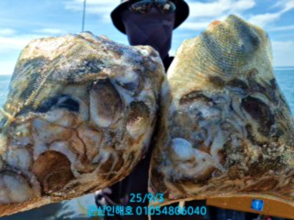 군산 인해호 인해피싱_사진_20250904_1.jpg