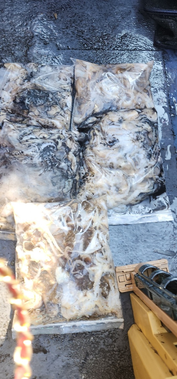 예지퀸호 농어외수질&어초낚시 경기인천권_사진_20250918_21.jpg