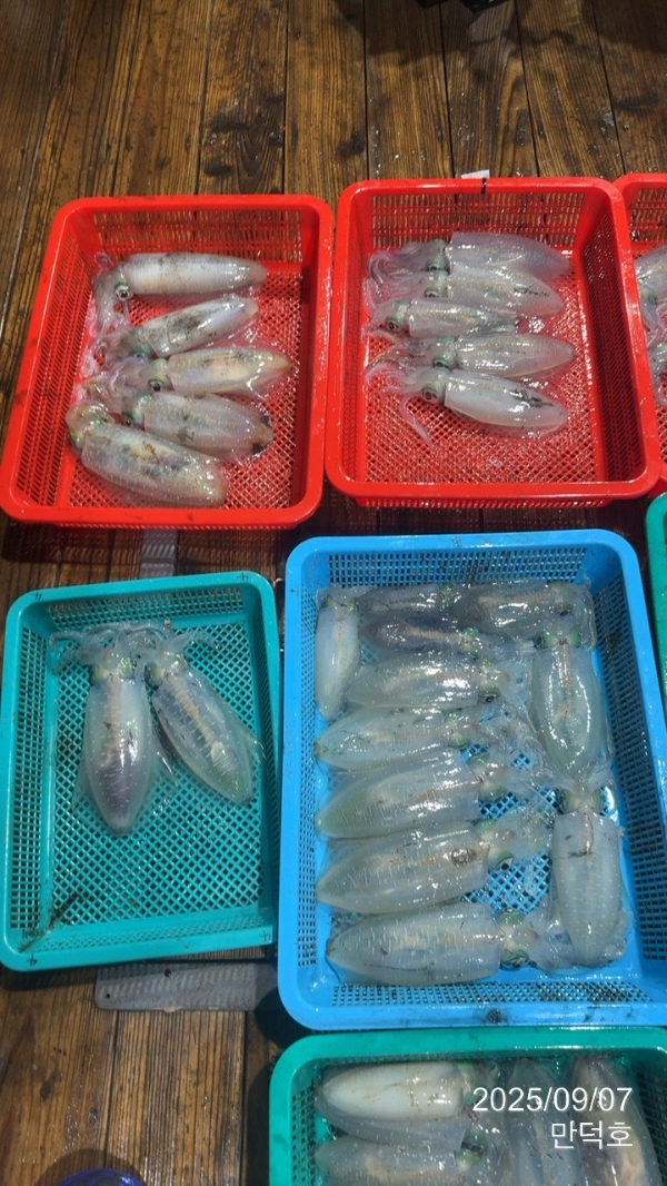 acd34b1d5aeca525549b95fdc1772b3e.jpg
