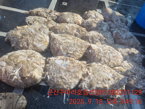 1000051733.jpg
