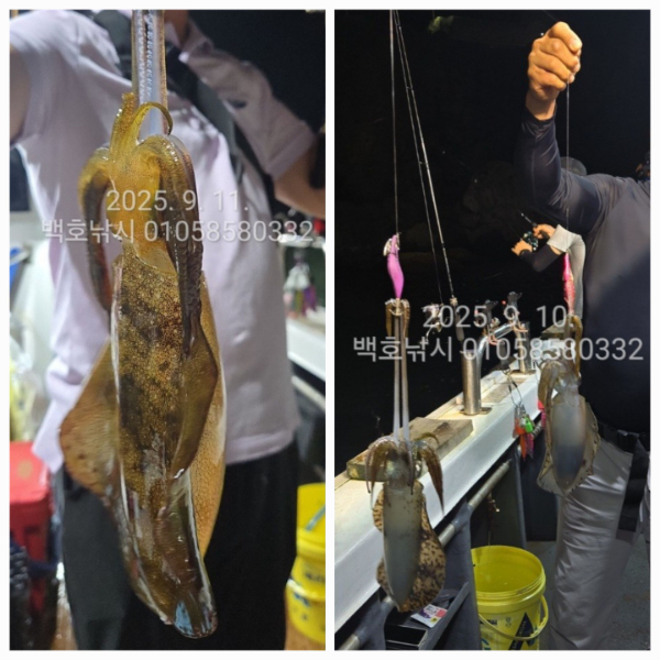 ade793012ef87fd25088c4fdc93dbd75.jpg