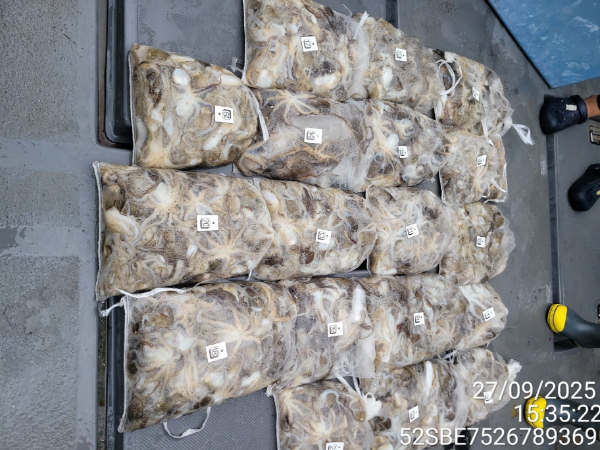 ade821b57c9221650acba114ccee66dd.jpg