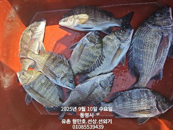 ae934f30ca05a9f518a35a7ac55397de.jpg