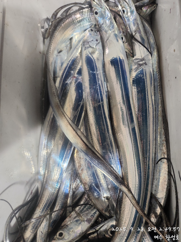 ae97dbcbf1d40f5a0966a5a6ae703e6c.jpg