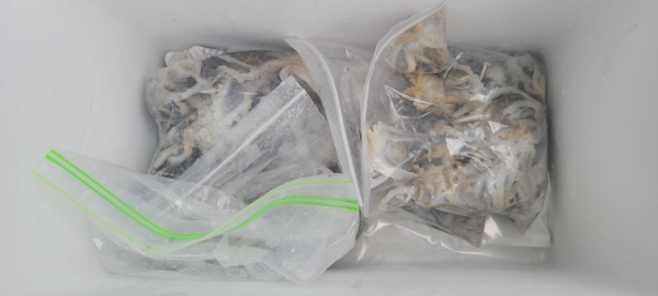 예지퀸호 농어외수질&어초낚시 경기인천권_사진_20250901_6.jpg