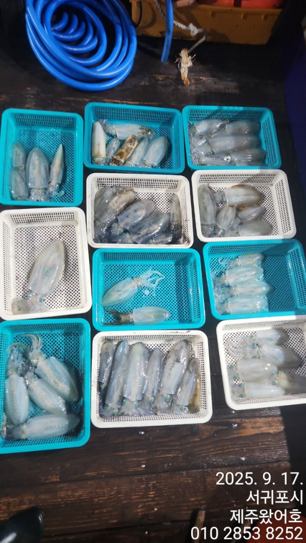 제주왔어호_사진_20250918_13.jpg