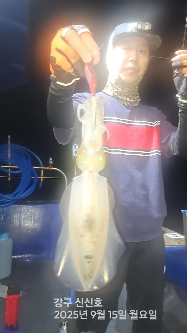 신신낚시 강구점 신신호_사진_20250916_9.jpg
