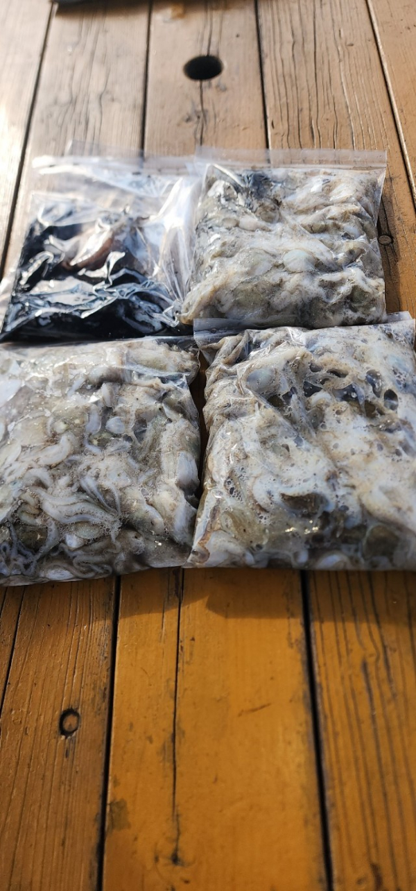 예지퀸호 농어외수질&어초낚시 경기인천권_사진_20250904_7.jpg