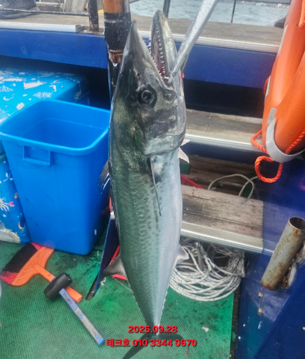 KakaoTalk_20250928_135305410_03.jpg