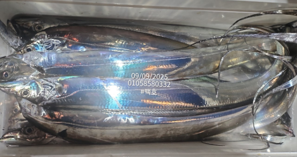 b1b6ec79f4999091e67cef060fabbba1.jpg