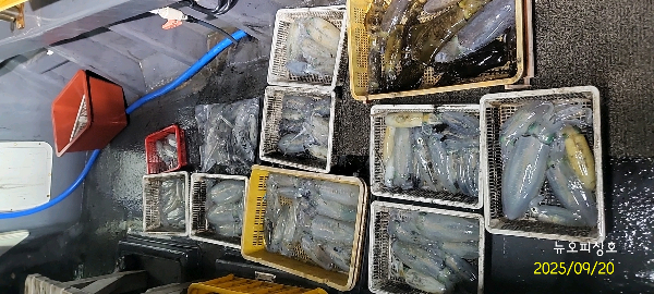 1000025741.jpg