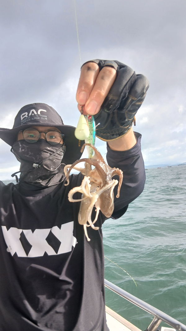 9월1일 주꾸미조황정보.jpg