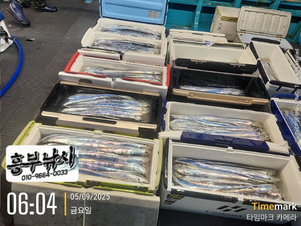 b20104dd71baa9c1113d3f801e3829d0.jpg