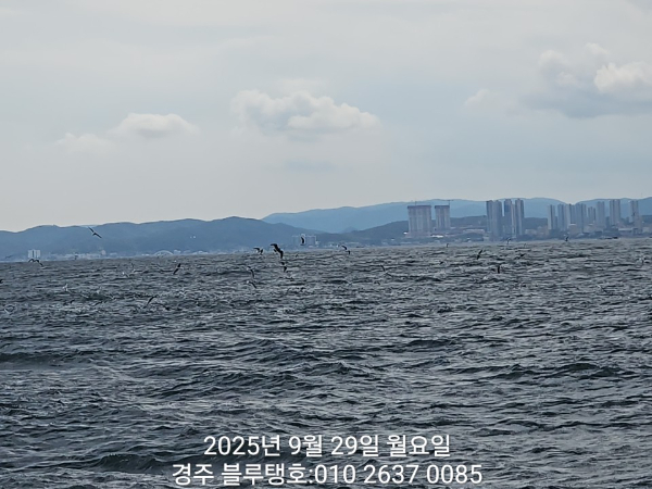 20250929_131034.jpg