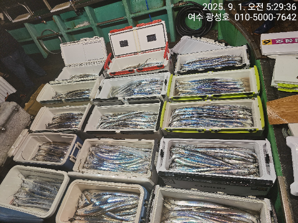 KakaoTalk_20250901_152431635_13.jpg