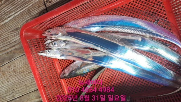 b2dd375f96ba91c12e0ce96553651bee.jpg