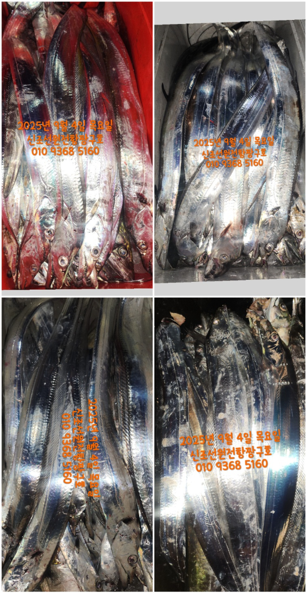KakaoTalk_20250904_043522941.jpg