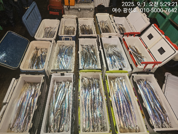 KakaoTalk_20250901_152431635_10.jpg