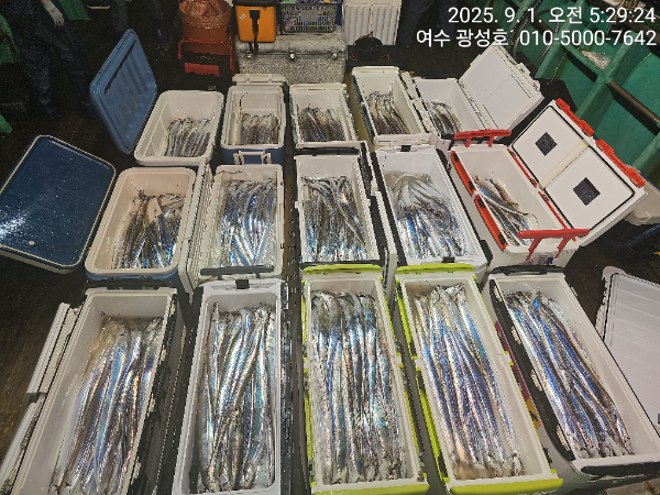 KakaoTalk_20250901_152431635_08.jpg