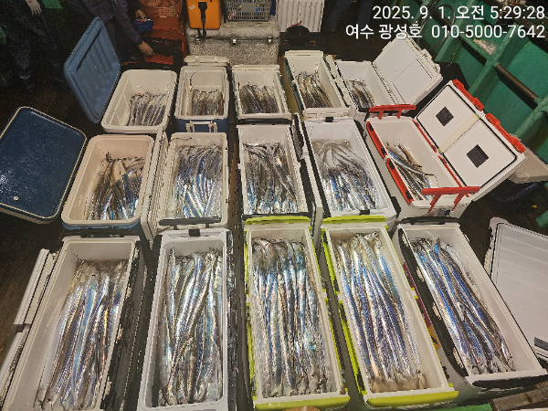 KakaoTalk_20250901_152431635_11.jpg